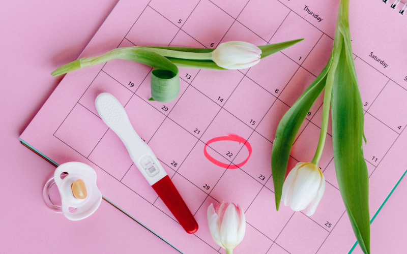 Calendário marcado, teste de gravidez e flores sobre fundo rosa, representando variações hormonais