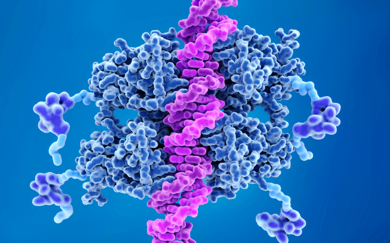 Representação gráfica colorida mostrando a estrutura tridimensional de uma molécula de proteína, com hélices e dobras.